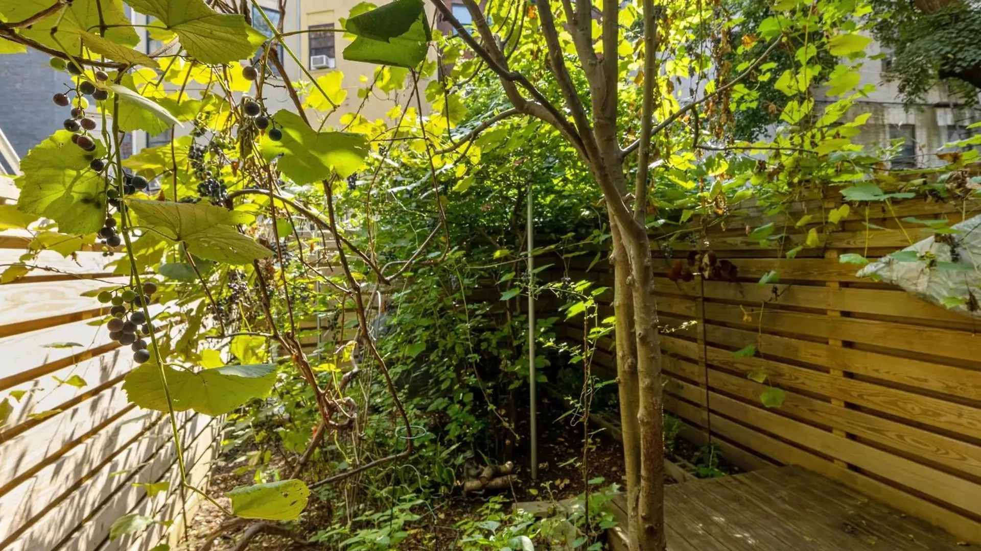*** Bed & Breakfast Northern Lights Mansion New York Stati Uniti